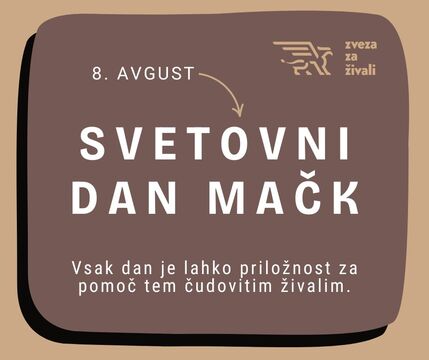 svetovni dan mačk(1)